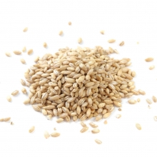 Barley Pearl TRIO Natural 450 gr