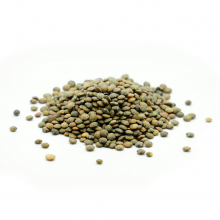 Lentil DuPuy Whole TRIO Natural 450 gram